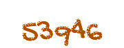 Security check